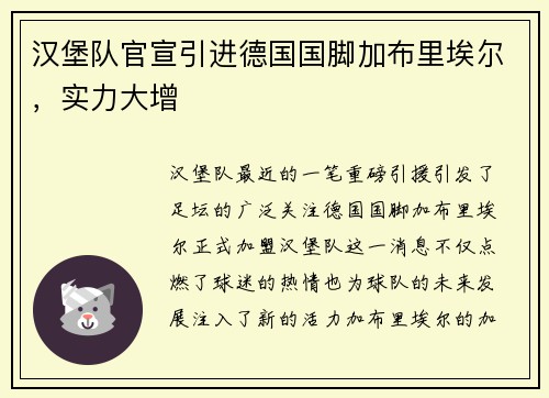 汉堡队官宣引进德国国脚加布里埃尔，实力大增